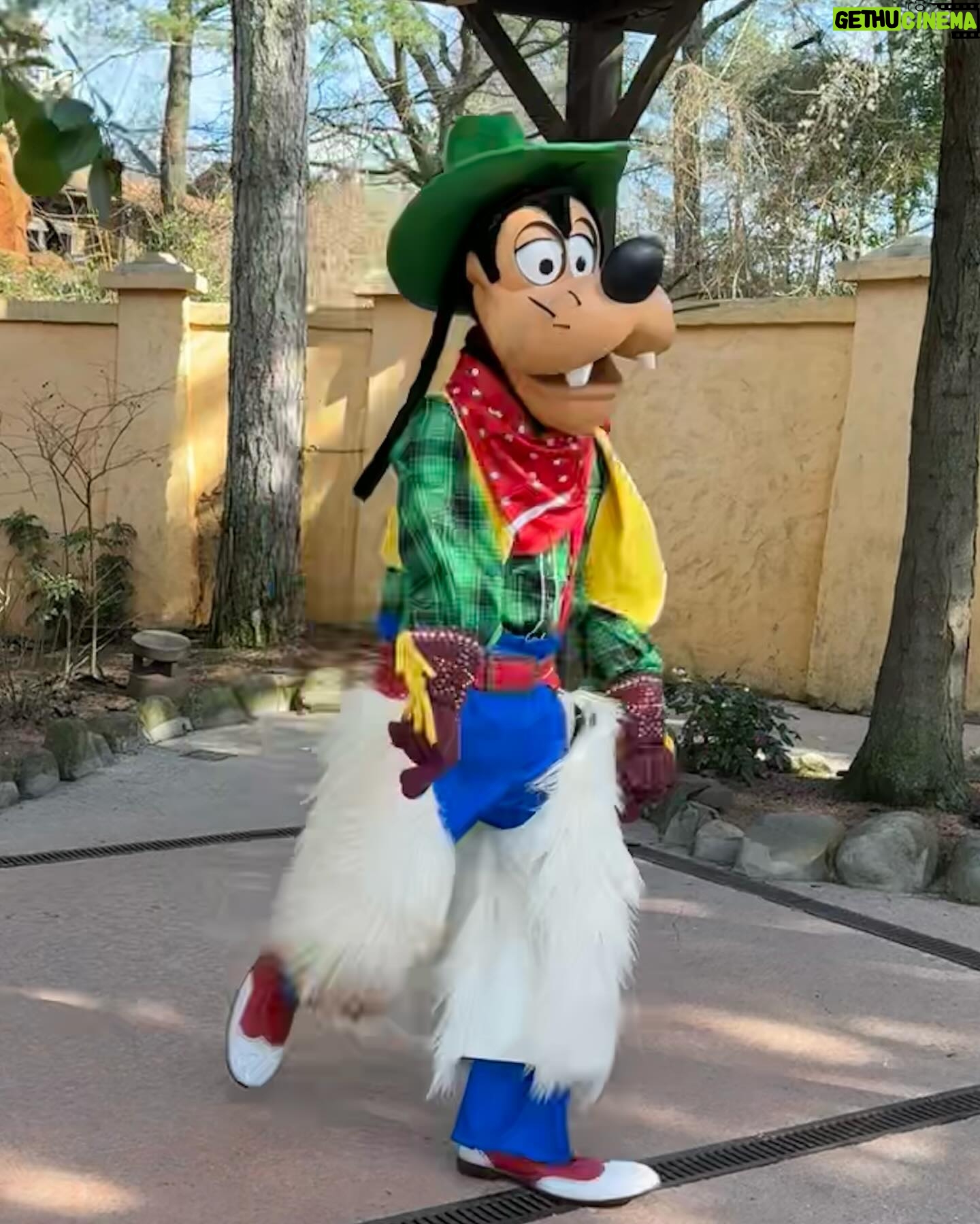 Amy Hart Instagram - Character Meet and Greets (that we found!)🤩 There are lots of other ones (breakfast, lunch and dinner at Plaza Gardens, meet Mickey Mouse, Princess Pavilion and Hotel M&G’s) these are just the ones we saw whilst milling around! I tried to ask about times and some of the staff said the timings come up on the app! If you know any more put them in the comments to help others! 1) Royal Banquet at the Disneyland Hotel. Lunch is Minnie, Mickey, Donald and Daisy and then at dinner it’s M&M, Goofy and Pluto! 2) Winnie The Pooh, just down the side of the emporium on Main St!! 3) Hollywood Goofy, entrance to Studios park. 4&5) Captain Hook, Peter Pan and Wendy, Adventureland. 12.15-1, 1.15-1.45 6) Genie 10-4, just by the agrabah cafe 7) Phantom Mickey, by phantom manor 8)Wild West Goofy, by cowboy cookout, 10-4 9) Chip & Dale, by Colonel Hathi’s, 11.45-2 10) Pluto & Donald, by Indiana Jones, 11.45-1.45
