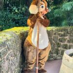 Amy Hart Instagram - Character Meet and Greets (that we found!)🤩 There are lots of other ones (breakfast, lunch and dinner at Plaza Gardens, meet Mickey Mouse, Princess Pavilion and Hotel M&G’s) these are just the ones we saw whilst milling around! I tried to ask about times and some of the staff said the timings come up on the app! If you know any more put them in the comments to help others! 1) Royal Banquet at the Disneyland Hotel. Lunch is Minnie, Mickey, Donald and Daisy and then at dinner it’s M&M, Goofy and Pluto! 2) Winnie The Pooh, just down the side of the emporium on Main St!! 3) Hollywood Goofy, entrance to Studios park. 4&5) Captain Hook, Peter Pan and Wendy, Adventureland. 12.15-1, 1.15-1.45 6) Genie 10-4, just by the agrabah cafe 7) Phantom Mickey, by phantom manor 8)Wild West Goofy, by cowboy cookout, 10-4 9) Chip & Dale, by Colonel Hathi’s, 11.45-2 10) Pluto & Donald, by Indiana Jones, 11.45-1.45