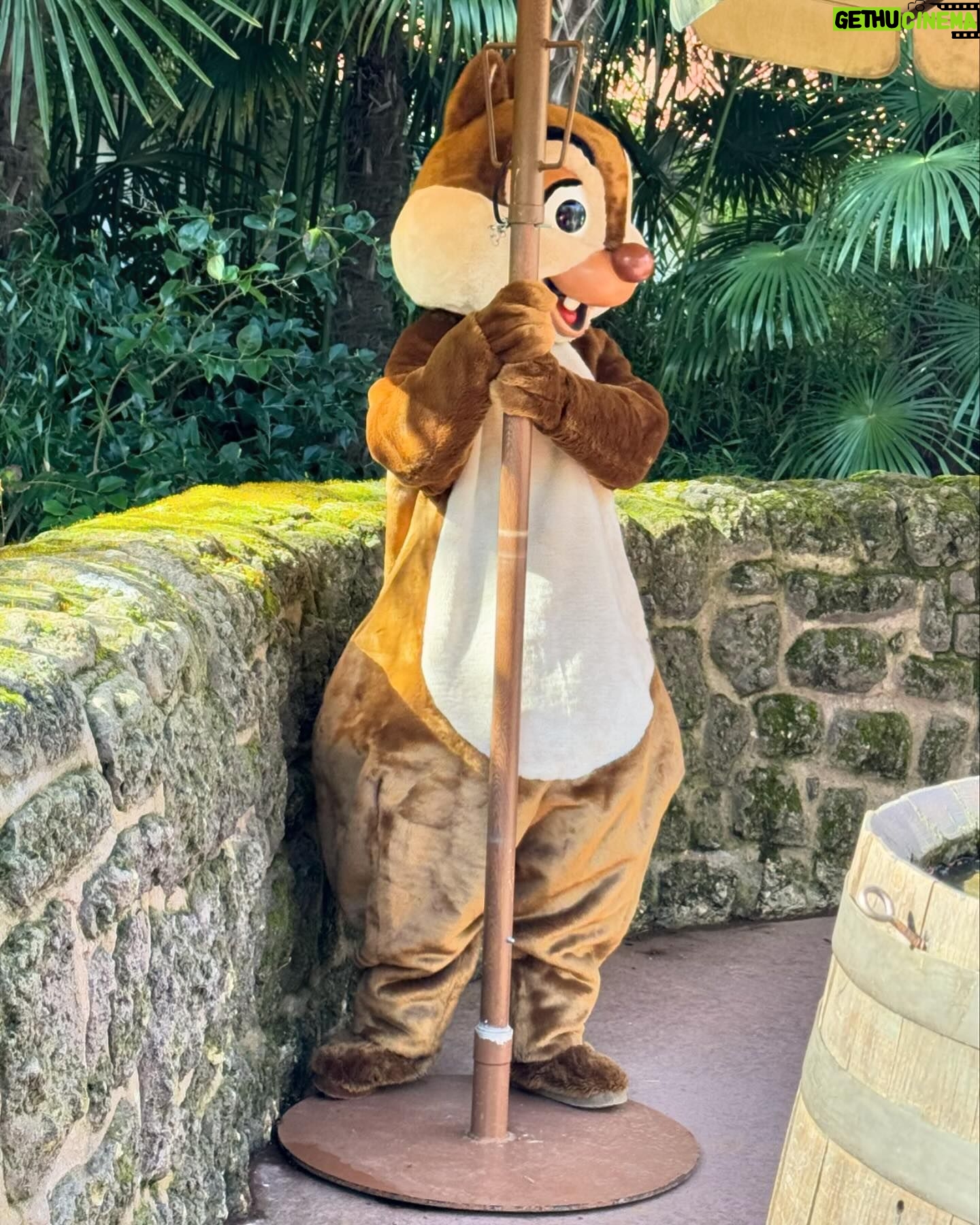 Amy Hart Instagram - Character Meet and Greets (that we found!)🤩 There are lots of other ones (breakfast, lunch and dinner at Plaza Gardens, meet Mickey Mouse, Princess Pavilion and Hotel M&G’s) these are just the ones we saw whilst milling around! I tried to ask about times and some of the staff said the timings come up on the app! If you know any more put them in the comments to help others! 1) Royal Banquet at the Disneyland Hotel. Lunch is Minnie, Mickey, Donald and Daisy and then at dinner it’s M&M, Goofy and Pluto! 2) Winnie The Pooh, just down the side of the emporium on Main St!! 3) Hollywood Goofy, entrance to Studios park. 4&5) Captain Hook, Peter Pan and Wendy, Adventureland. 12.15-1, 1.15-1.45 6) Genie 10-4, just by the agrabah cafe 7) Phantom Mickey, by phantom manor 8)Wild West Goofy, by cowboy cookout, 10-4 9) Chip & Dale, by Colonel Hathi’s, 11.45-2 10) Pluto & Donald, by Indiana Jones, 11.45-1.45