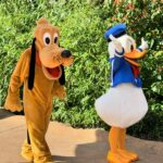 Amy Hart Instagram - Character Meet and Greets (that we found!)🤩 There are lots of other ones (breakfast, lunch and dinner at Plaza Gardens, meet Mickey Mouse, Princess Pavilion and Hotel M&G’s) these are just the ones we saw whilst milling around! I tried to ask about times and some of the staff said the timings come up on the app! If you know any more put them in the comments to help others! 1) Royal Banquet at the Disneyland Hotel. Lunch is Minnie, Mickey, Donald and Daisy and then at dinner it’s M&M, Goofy and Pluto! 2) Winnie The Pooh, just down the side of the emporium on Main St!! 3) Hollywood Goofy, entrance to Studios park. 4&5) Captain Hook, Peter Pan and Wendy, Adventureland. 12.15-1, 1.15-1.45 6) Genie 10-4, just by the agrabah cafe 7) Phantom Mickey, by phantom manor 8)Wild West Goofy, by cowboy cookout, 10-4 9) Chip & Dale, by Colonel Hathi’s, 11.45-2 10) Pluto & Donald, by Indiana Jones, 11.45-1.45