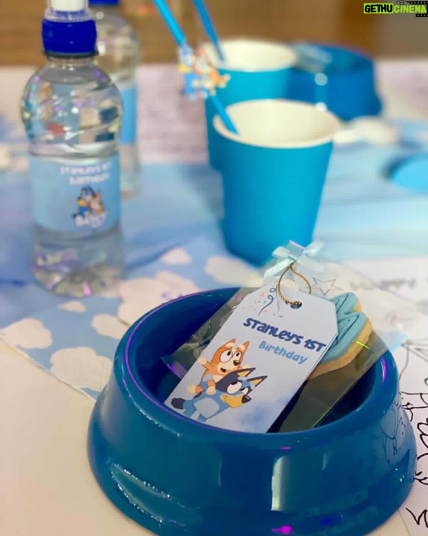 Amy Hart Instagram - This Episode Of Bluey Is Called Stanley’s First Birthday 🎂 💙🩵 The best time for my little boys first birthday 🎁 Theme:I looked on Pinterest and sent @everylastdetail_x a reeeally long voice note and as always they delivered!!! Even down to themed waters, biscuits from @thecupcakecollectionx , dog bowls instead of plates and little bone name tags 🥲. Roll on my UK hen do!! Food: I got pizzas for the adults, lots of different cans of drink and my Nan brought some cupcakes 🤣 For the babies I just went online and ordered so so many @kiddyliciousuk snacks. Felt this was the best zero waste option as now our cupboard is stocked with the ones we didn’t use!! My mum also did a tray of sandwiches and a tray of chicken dippers and sausages. Activities: We used two local family run companies, @rentyoureventsussex for the bluey soft play and DSH Leisure for the bouncy castle. I had DSH castles my whole childhood so really special that we can now use them for Stanley!! We also had @one_stop_partyshop come along with Bluey herself! I tried to book the full 2 hour party but they recommended that we just did 30 mins and it was fab! Games, singing and dancing and a meet and greet! I also used to do panto with Blueys party assistant so it really was the most Worthing party you can get 🤣 Cake: We used @kellyscakes_ We had white chocolate and raspberry (Stanley’s faves) and it was sooo good! Also very reasonably priced and I finally managed to order a cake for the size of the guest list and not for the feeding of the 5000!! Outfit: @indielledesigns 💙 my go to for seasonal clothing! Party Boxes: I had seen adopt a floppy on Pinterest so asked @my1styears if we could do a bulk order of the bunnies, they took it extra and gifted everyone a personalised denim jacket 😢 I also bought a box of bubble wands off Amazon and each child got a little book too! (Little libraries, also from Amazon!) (m1y also gave me a discount code which is AMYHART10 xx)