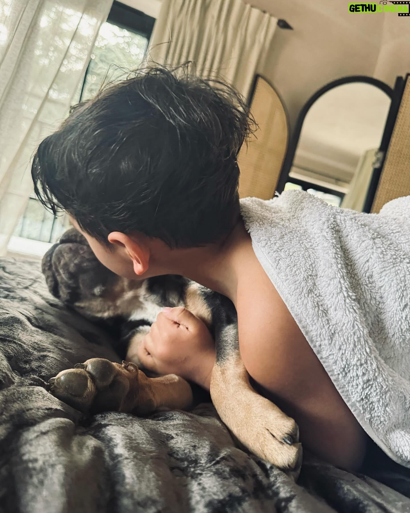 Amy Jackson Instagram - Just lovely, little things from the last week. The last slide was the icing on the CAKE - we love you GaGa!!