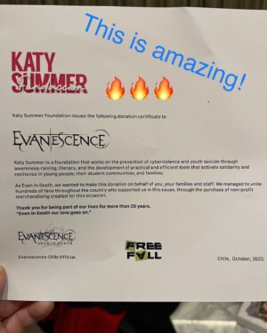 Amy Lee Instagram - As usual I am touched by the love and generosity of our beautiful fans in Chile. Thank you for always going over the top for us! In simpler times we would have gathered all together for hugs and pictures and now we have to go to greater lengths not to get sick so the tour can go on. I just wanted to say we love you just the same, and thank you for all the amazing presents, letters  and art! It was a challenge to fit it all on this table! ❤️