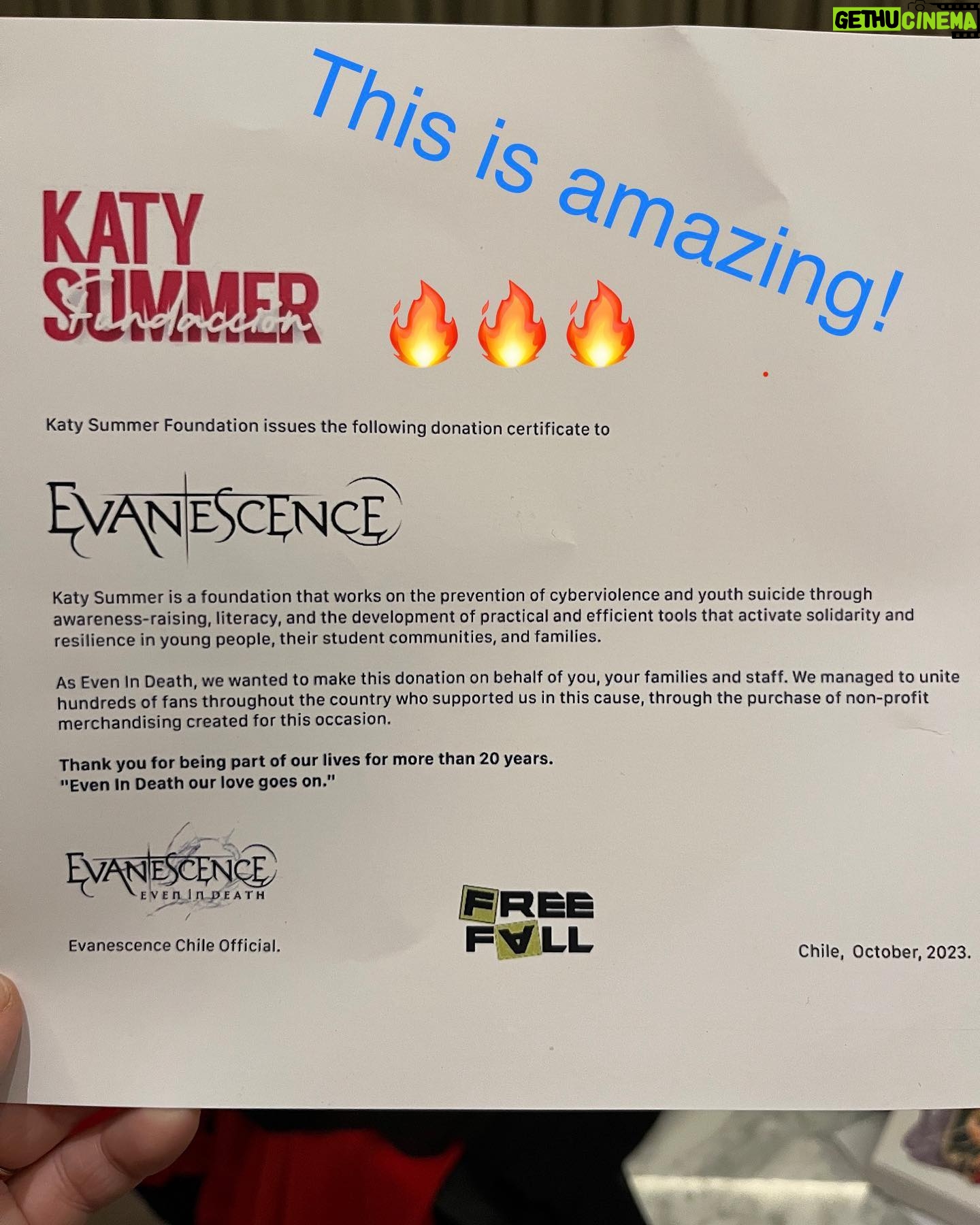 Amy Lee - 86.9K Likes - As usual I am touched by the love and generosity of our beautiful fans in Chile. Thank you for always going over the top for us! In simpler times we would have gathered all together for hugs and pictures and now we have to go to greater lengths not to get sick so the tour can go on. I just wanted to say we love you just the same, and thank you for all the amazing presents, letters and art! It was a challenge to fit it all on this table! ❤️