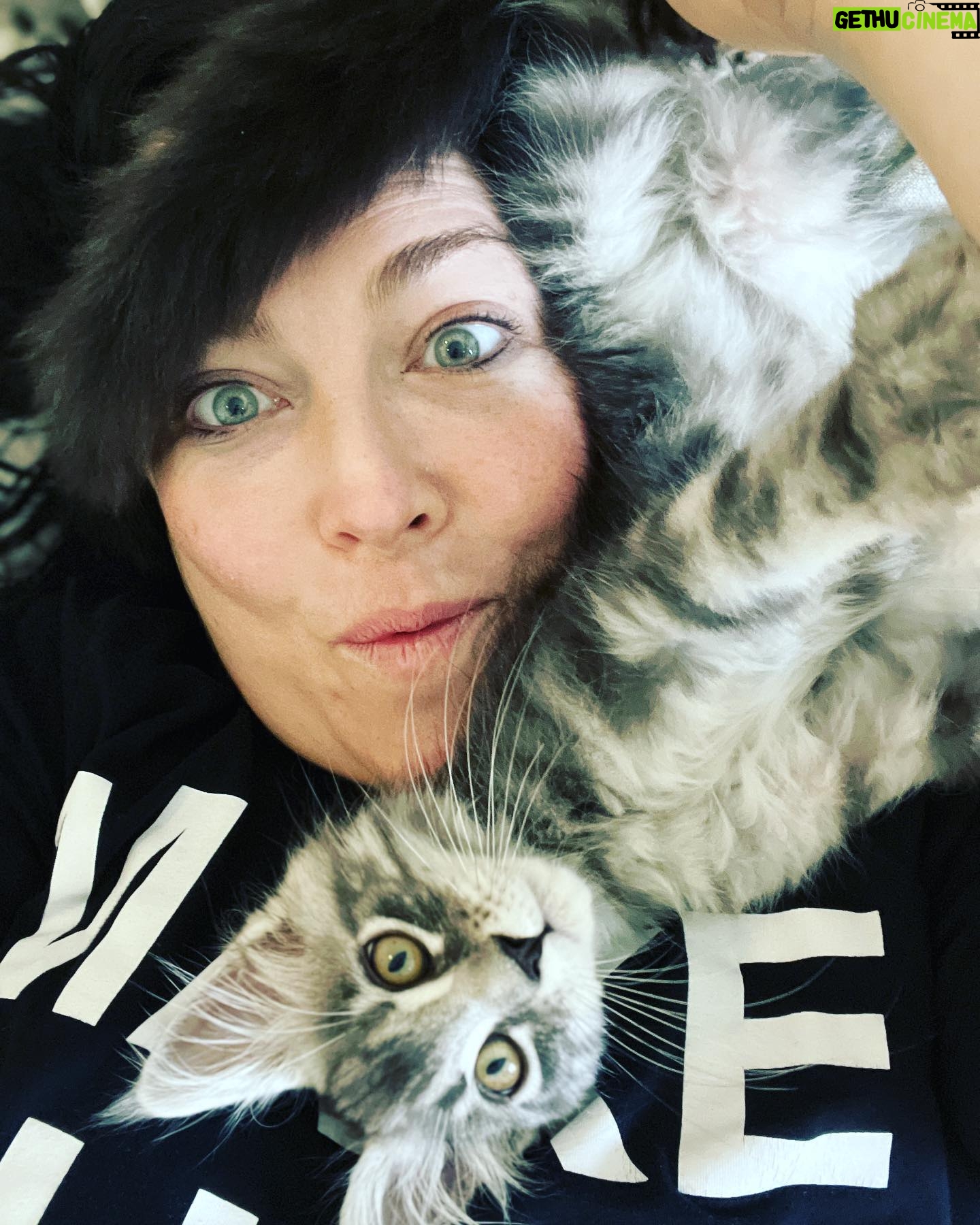 Amy Lee - 208.7K Likes - Meet our new fur baby, Simon! 😻❤️ We’ve only had him 2 weeks and love him so much already!