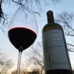 Amy Lee Instagram – Tonight’s sunset sponsored by the legendary @danicapatrick 
She caught me drinking during my upcoming episode on her podcast and then big time one-upped me by sending me her own Cabernet! 🤯And it’s REALLY good! Thanks, Danica! 🥂