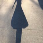 Amy Lee Instagram – I’ve had the honor of walking in the shadow of so many beautiful, rock-strong women who came before me and helped shape who I am. @toriamos @alanis Shirley Manson @garbage Janis Joplin @Bjork @paulacoleofficial pjharveyofficial  Aimee Mann @missymisdemeanorelliott  @sherylcrow Whitney Houston, Carol King, Beth Gibbons, @stevienicks And rock stars to me Grandma Ruth, Mom, Mimi, Aunts, sisters, teachers: Thank you. Happy #internationalwomensday