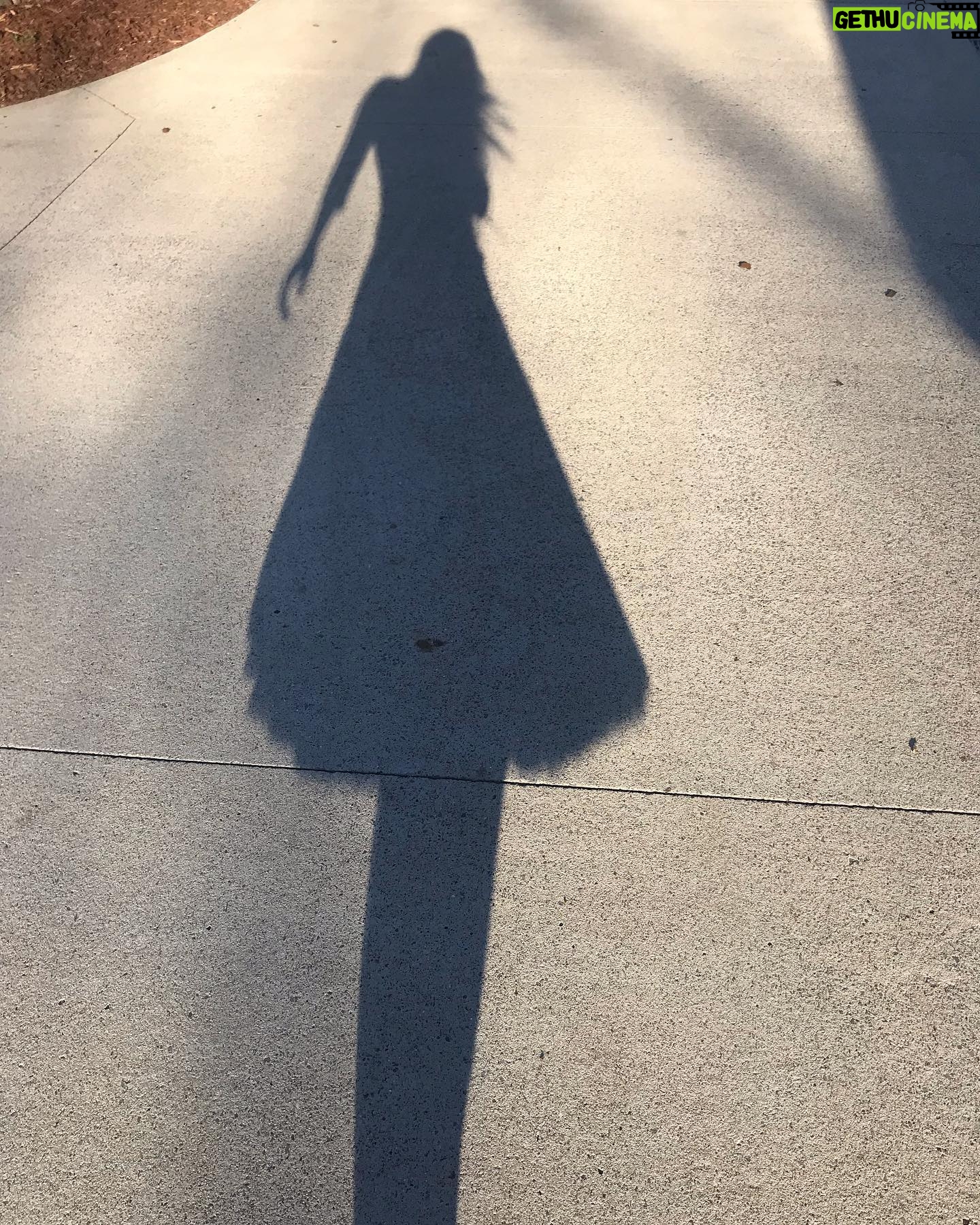 Amy Lee Instagram - I’ve had the honor of walking in the shadow of so many beautiful, rock-strong women who came before me and helped shape who I am. @toriamos @alanis Shirley Manson @garbage Janis Joplin @Bjork @paulacoleofficial pjharveyofficial Aimee Mann @missymisdemeanorelliott @sherylcrow Whitney Houston, Carol King, Beth Gibbons, @stevienicks And rock stars to me Grandma Ruth, Mom, Mimi, Aunts, sisters, teachers: Thank you. Happy #internationalwomensday