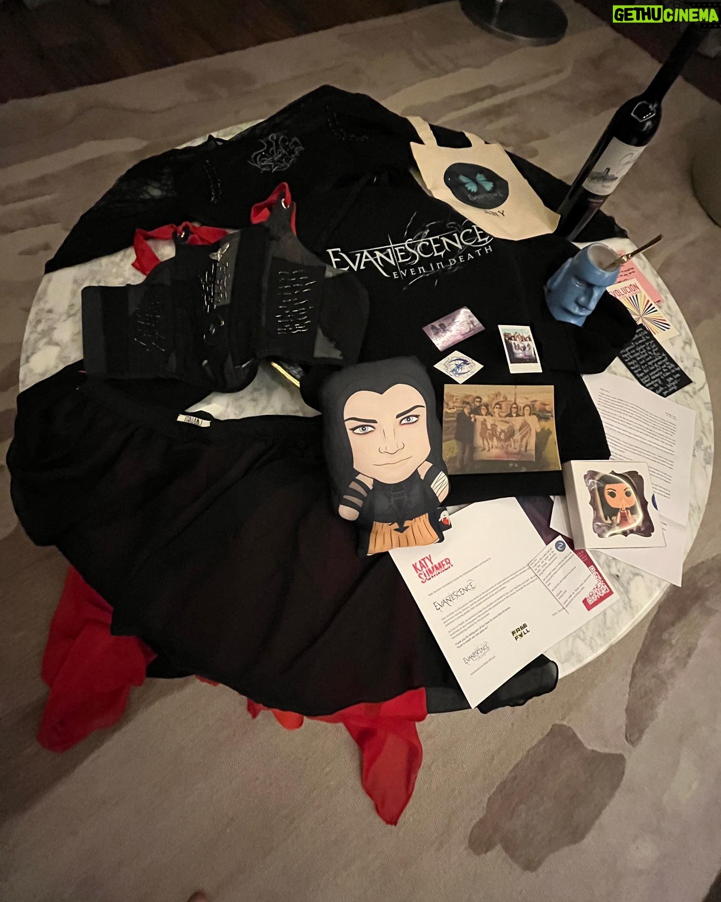 Amy Lee - 86.9K Likes - As usual I am touched by the love and generosity of our beautiful fans in Chile. Thank you for always going over the top for us! In simpler times we would have gathered all together for hugs and pictures and now we have to go to greater lengths not to get sick so the tour can go on. I just wanted to say we love you just the same, and thank you for all the amazing presents, letters and art! It was a challenge to fit it all on this table! ❤️