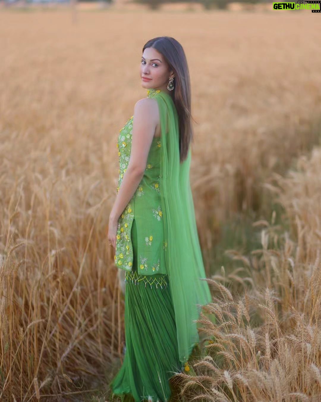 Amyra Dastur Instagram - Stunning Gorgeous in Farms 😍🤩🔥 @amyradastur #amyradastur #amyra #gorgeous #beauty #actress #actresshot #hotactress #hot #tollywood #tollywoodactress #tollywoodcinema #tollywoodhotactress #kollywood #kollywoodcinema #kollywoodactress #bollywood #bollywoodactress #bollywoodmovies