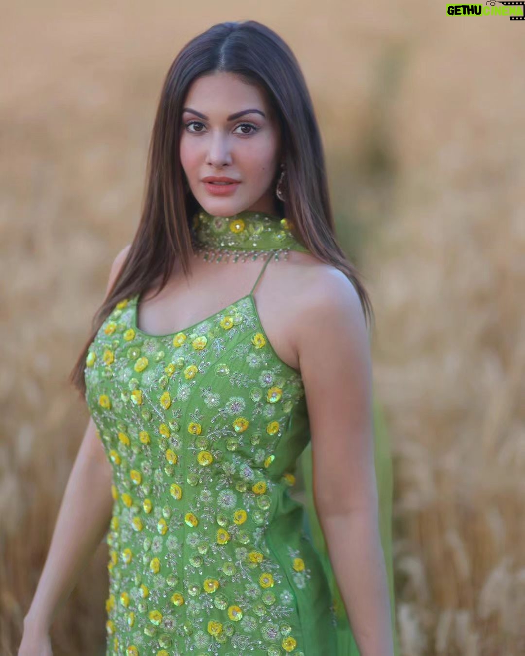 Amyra Dastur Instagram - Stunning Gorgeous in Farms 😍🤩🔥 @amyradastur #amyradastur #amyra #gorgeous #beauty #actress #actresshot #hotactress #hot #tollywood #tollywoodactress #tollywoodcinema #tollywoodhotactress #kollywood #kollywoodcinema #kollywoodactress #bollywood #bollywoodactress #bollywoodmovies
