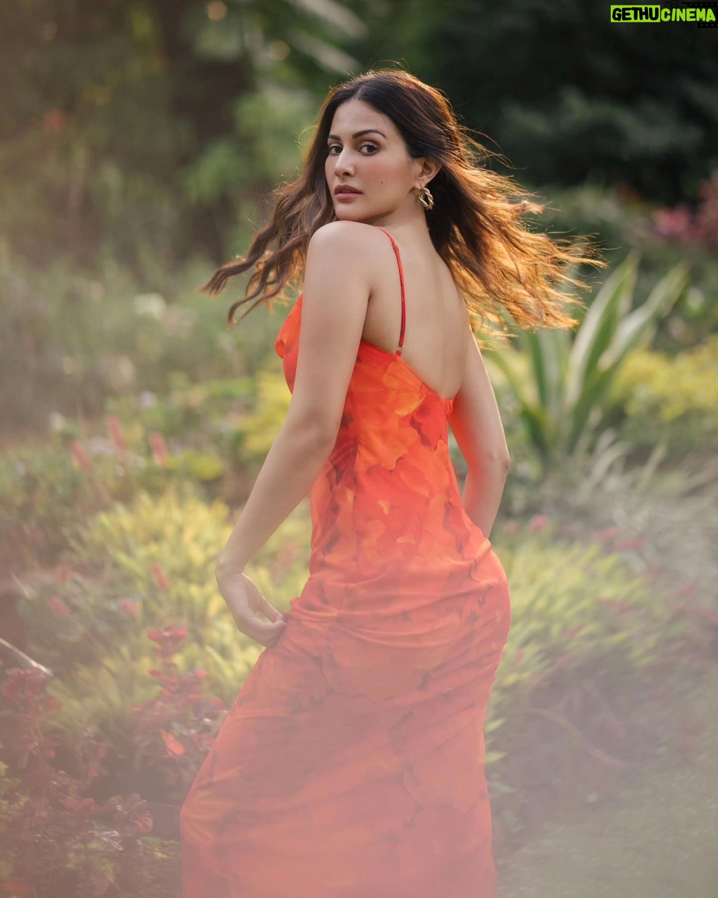 Amyra Dastur Instagram - Gorgeous 😍🥰 @amyradastur #amyradastur #amyra #gorgeous #actress #actresshot #beauty #kollywood #kollywoodcinema #kollywoodactress #tollywood #tollywoodqueen #tollywoodactress #bollywood #bollywoodactress #bollywoodqueen #bollywoodmovies