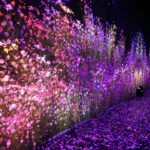 An So-hee Instagram - Fallin flower Bloom again.🌷