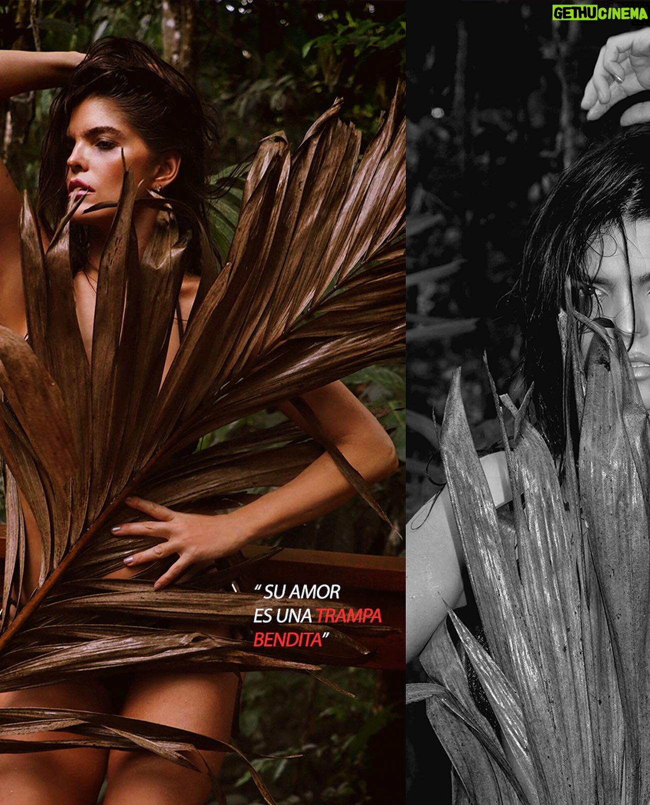 Ana Bárbara Instagram - Y mientras estamos en la promo de #reinagruperatour ❤️🔥 aquí les dejo estas #fotos en #costarica🇨🇷 ‼️😚 les gusta mi vestido? 💯% natural 😏😅🥬 📍 @chachaguarainforest 📸 @soyelmolina #photoshoot #naruraleza #anabarbara