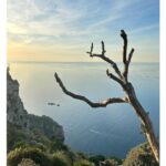 Ana Fernández Instagram - Qué premio de vistas y días! Mallorca 🤍 @innside_by_melia #innsidepalmabosque