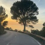 Ana Fernández Instagram - Qué premio de vistas y días! Mallorca 🤍 @innside_by_melia #innsidepalmabosque