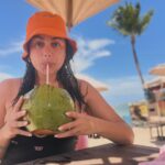 Ana Guiomar Instagram – Coisas para fazer hoje. 🦀
