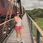 Ana Guiomar Instagram - Nada de leopardo, vamos seguir caminho até Maputo.