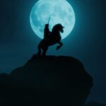 Ana Layevska Instagram - Es genial ser parte de un proyecto tan hermoso que estoy segura que se volverá un clásico. En enero finalmente se estrena #zorro en @amazonprime con extraordinaria producción y un equipo internacional de talentos. Nos tardamos casi un año en lograrlo pero el resultado se ve espectacular @miguel_bernardeau @rennotni @zurita7 @pacotous @dalia_xiuhcoatll @cuauhtli_jimenez @eliagalera @andruchis @alosian @petervives @jquintasj son solo una probadita de la enorme cantidad de gente que entregó su talento en esta serie que todos morimos de ganas por ver! Muy pronto! #amazon @secuoyastudios #zorro #serie #prime