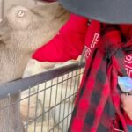 Ana María Polo Instagram - Hola a todos! Aquí va un pequeño resumen de Octubre en mi vida… Colorado, vacaciones con mi sobrina, caballos, naturaleza y diversión con mis amigas! ¿Qué les parece si comienzo a compartirles un poco mas de mi día a día?