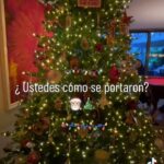 Ana María Polo Instagram - ¡Hola amigos! Les quería compartir mi arbolito de Navidad para este año 2022🎄 ¿Ustedes ya lo pusieron? ¿Qué día acostumbran hacerlo en tal caso? Cuéntenme en los comentarios si también les toca comprarse sus propios regalos 😂😜😉✨ #HeDicho #CasoCerrado #AnaMariaPolo