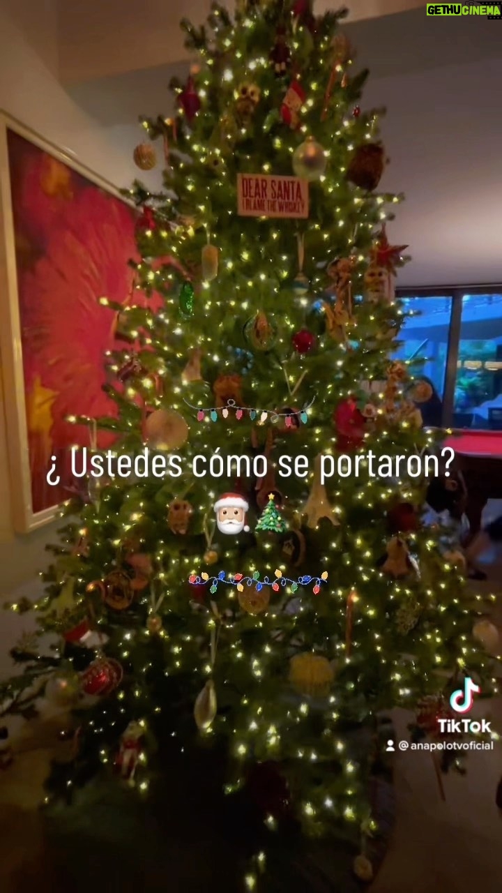 Ana María Polo Instagram - ¡Hola amigos! Les quería compartir mi arbolito de Navidad para este año 2022🎄 ¿Ustedes ya lo pusieron? ¿Qué día acostumbran hacerlo en tal caso? Cuéntenme en los comentarios si también les toca comprarse sus propios regalos 😂😜😉✨ #HeDicho #CasoCerrado #AnaMariaPolo