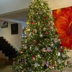 Ana María Polo Instagram – ¡Hola amigos! A mi casa ya llegó la Navidad. Realmente disfruto mucho adornar mi árbol y cada adorno tiene su significado. Cuéntenme ustedes cómo lo decoran si tienen esa tradición. Feliz comienzo de las fiestas para todos. ¡Los quiero! 🎄

#HeDicho #CasoCerrado #AnaMariaPolo