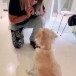 Ana María Polo Instagram - Creo que ya saben que amo los animales. Me han enseñado varias lecciones de vida ❤️ “Hasta que no hayas amado a un animal, una parte de tu alma permanecerá dormida” Anatole France 🐶🐭 #HeDicho #CasoCerrado #AnaMariaPolo