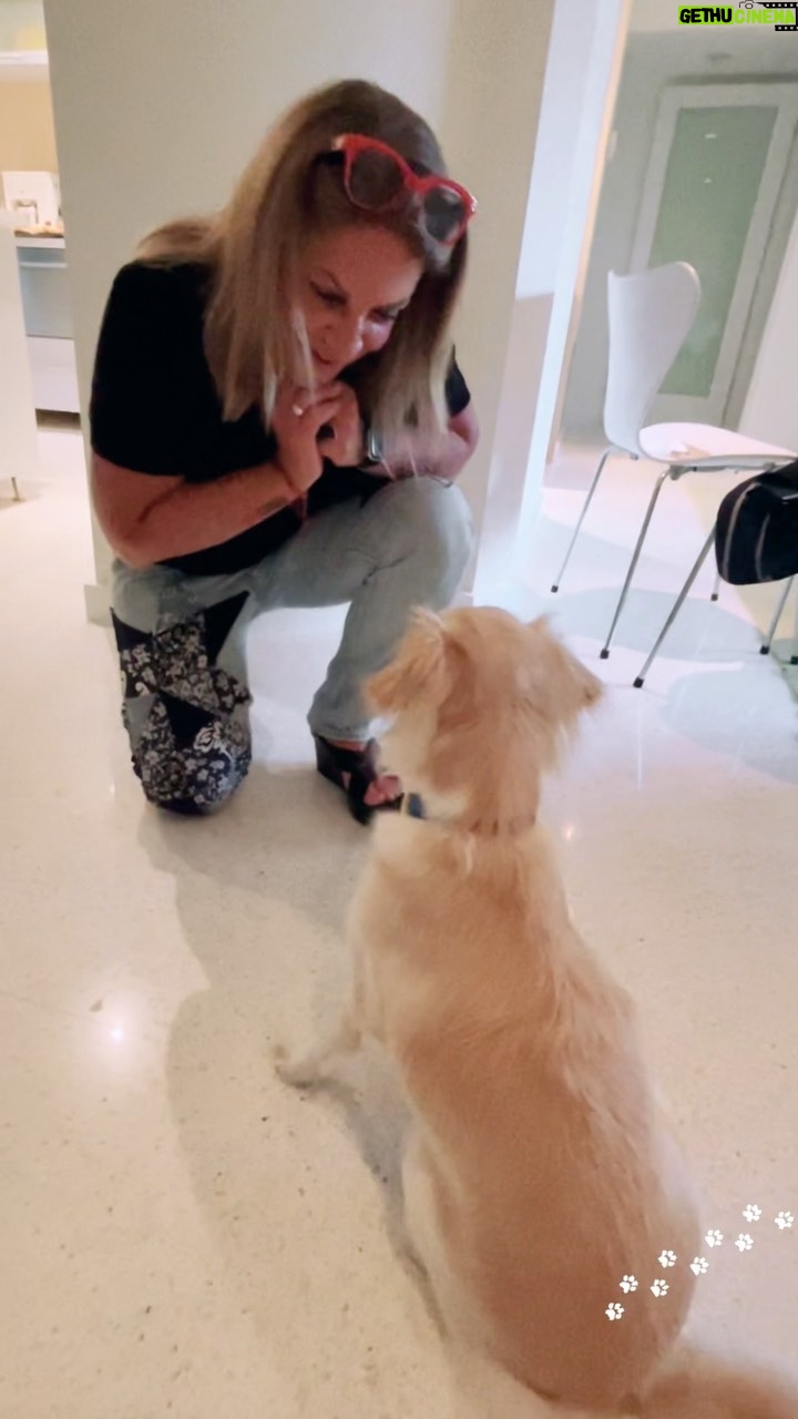 Ana María Polo Instagram - Creo que ya saben que amo los animales. Me han enseñado varias lecciones de vida ❤️ “Hasta que no hayas amado a un animal, una parte de tu alma permanecerá dormida” Anatole France 🐶🐭 #HeDicho #CasoCerrado #AnaMariaPolo