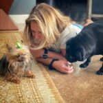 Ana María Polo Instagram - ¡Feliz viernes amigos! Hoy es #adoptashelterpetday ¡Un buen día para hacer crecer la familia y disfrutar de un amor incondicional! 🐈‍⬛🦮♥️ #HeDicho #CasoCerrado #AnaMariaPolo
