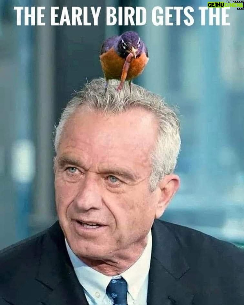 Ana Navarro Instagram - Good morning, early birds! 🤣🤣🤣