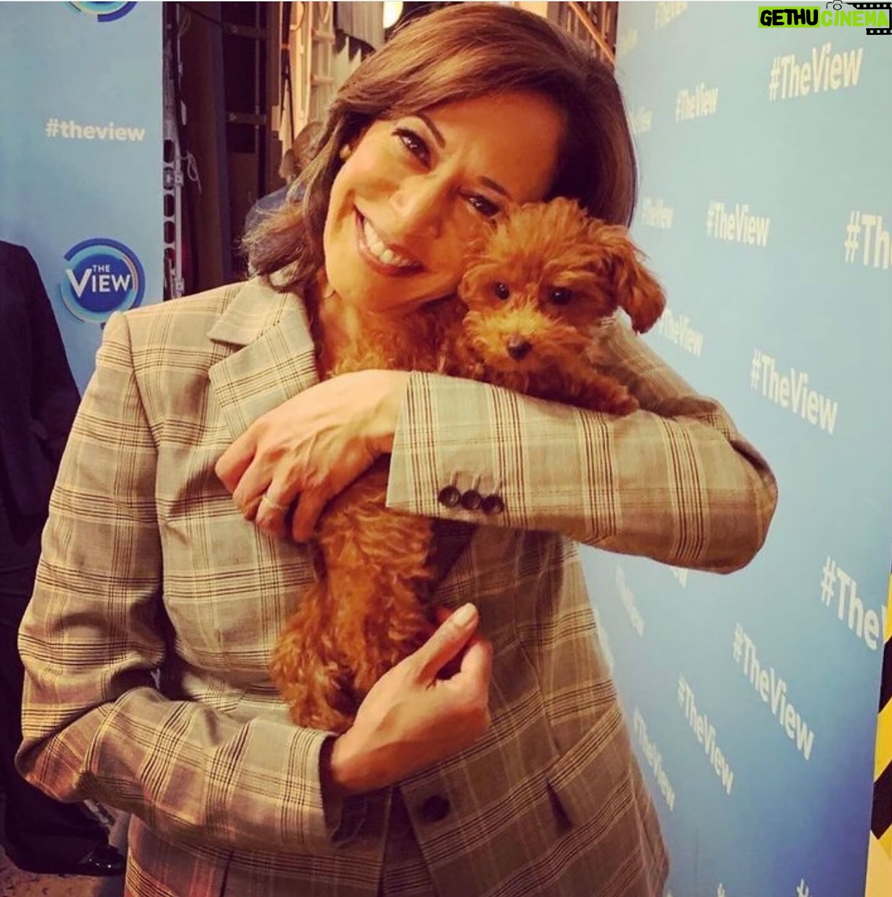 Ana Navarro Instagram - In 2024, we’re taking @hillaryclinton’s wise advice: Don’t vote for anyone you wouldn’t trust with your dog. The choice could not be more clear- you can vote for the nice people who love dogs or you can vote for the man who hates dogs and hangs out with South Dakota’s dog-killing Cruella De Noem. @chacha_cardenas & I are all in for @joebiden & @kamalaharris.