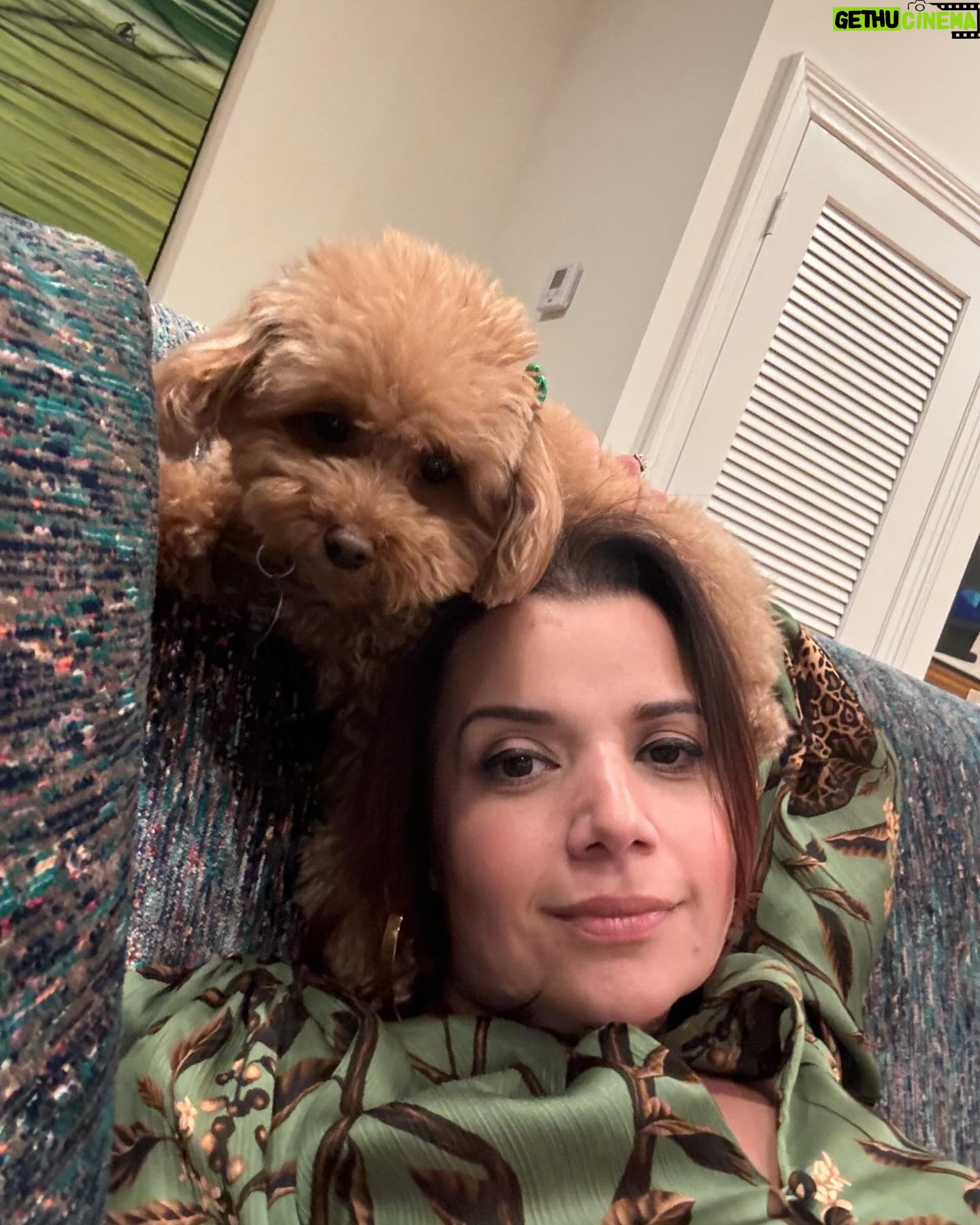 Ana Navarro Instagram - Good night, my peeps. Had THE best time at @chevremiami. It’s a tiny and crazy delicious Sandwich, cheese, wine & charcuterie shop. The line is out the door. Their one private room fits 12 and I’m going to rent it, over and over. If I invite you, say yes.