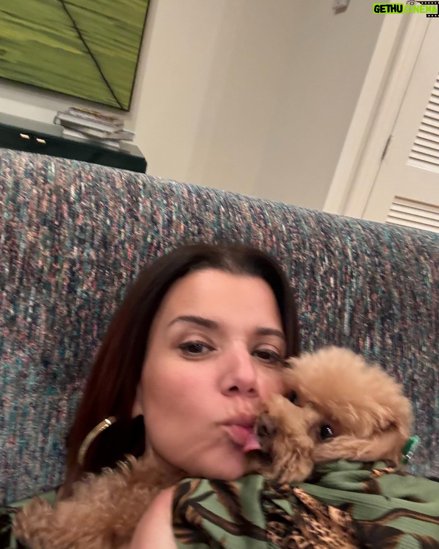 Ana Navarro Instagram - Good night, my peeps. Had THE best time at @chevremiami. It’s a tiny and crazy delicious Sandwich, cheese, wine & charcuterie shop. The line is out the door. Their one private room fits 12 and I’m going to rent it, over and over. If I invite you, say yes.