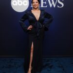 Ana Navarro Instagram - Had the best time at #whitehousecorrespondentsdinner. Got to see so many old friends and meet some new folks. I was sitting with @hiroyukisanadapr & @repjayapal and we had wonderful conversations about everything from politics, to heritage, food and sake. I met Wonder Woman! The first female Super Hero I can remember. How I wish I had a golden lasso we could tie around politicians so they’d say the truth. @potus & @colinjost did a good job, though it felt tamer than other years. But anything that gets Trump rage-tweeting in the middle of the night, is very good, in my book. This night is not about the clothes or the parties or celebrities. It about defending the free press and recognizing good journalists, while raising funds for journalism scholarships. I partied waaaay too much and too late. It’s taken me a full 24 hours to recover. Dress: @cinqasept Earrings: @jennifermillerjewelry Shoes: @louboutinworld Bag: @csiriano