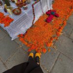 Ana Valeria Becerril Instagram - Me siento como flor de Cempasúchil con mis nuevos Gazelle 💛🧡🎃🌻 @adidasmx #creadoconadidas #gazelle