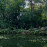Ana Valeria Becerril Instagram - Olor a cenote, flores y vela 🪷 @dior @diorbeauty @chableyucatan @esejuanfuentes te amo bebé, gracias por esto