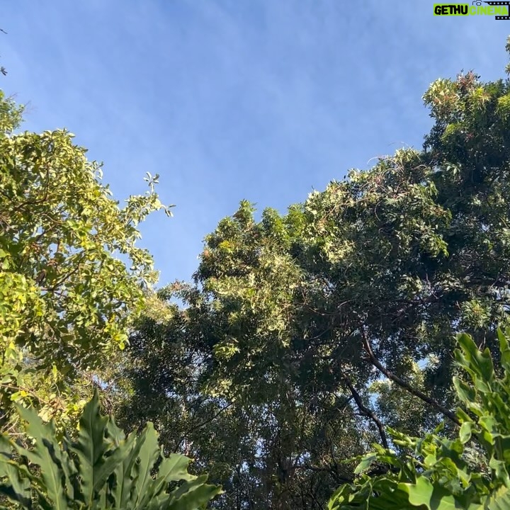 Ana Valeria Becerril Instagram - Marzo desértico: las grietas por donde crecen las flores 🌱