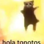 Ana Valeria Becerril Instagram - Sí, un post entero para expresar mi amor a estos seres, ¡y que tiene?! 🩶