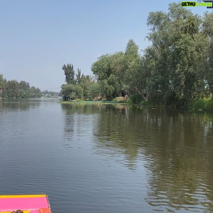 Ana Valeria Becerril Instagram - Últimamente…🌿🪻💚🐺💜 1. Me encontré vagando por los canales, 2. Bailando a todo volumen. 3. Encontré una manada de cuidados, 4. Que celebra todos sus triunfos. 5. Qué pinche bonito todo, caray…