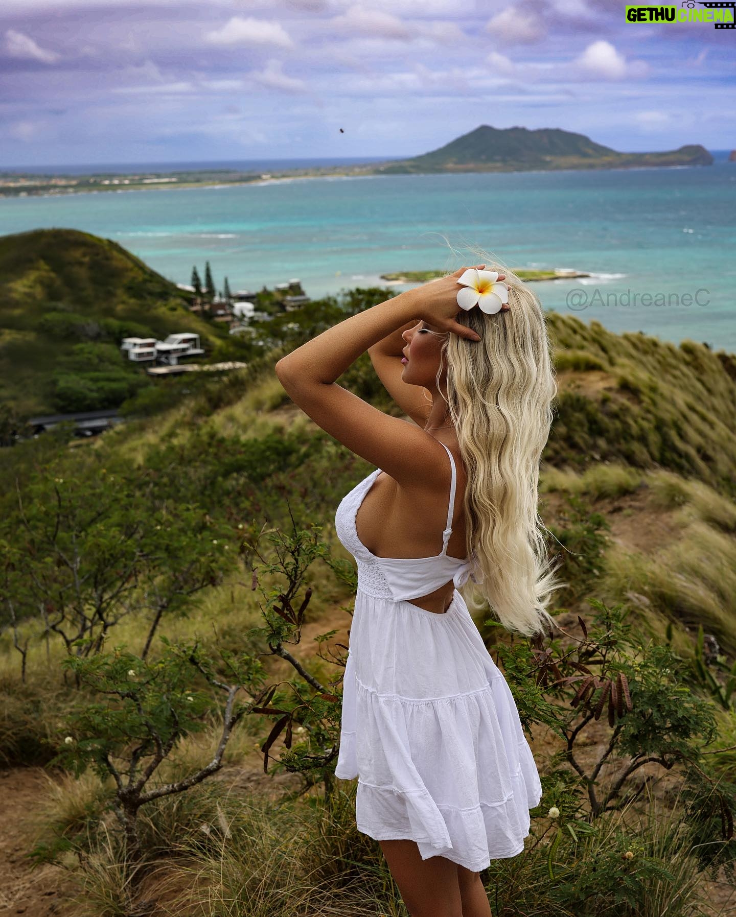 Andréane Chamberland Instagram - look me in the eyes 🌺 #hawaii #hawai #hawaiisbestphotos #hawaiilife #whitedress #whitedresses