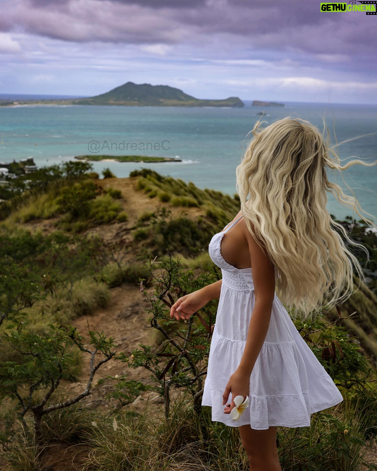 Andréane Chamberland Instagram - One day reality will be better than my dreams Which photo do You like the most? 1,2,3,4,5,6,7,8 ? #hawai #hawaii #hawaiilife #hawaii🌺 #hawaii🌴 #hawaiilove #whitedress #blondehair