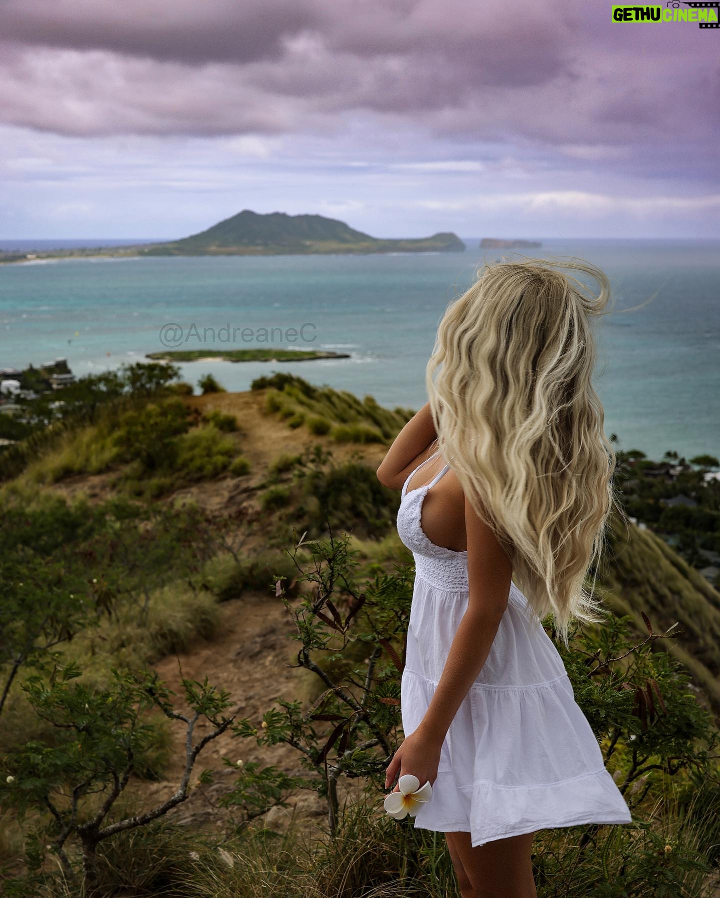 Andréane Chamberland Instagram - One day reality will be better than my dreams Which photo do You like the most? 1,2,3,4,5,6,7,8 ? #hawai #hawaii #hawaiilife #hawaii🌺 #hawaii🌴 #hawaiilove #whitedress #blondehair