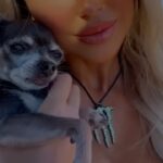 Andréane Chamberland Instagram - Today would have been your birthday, 11 years old. Unfortunately you left us 8 days before your 11th birthday. I didn’t know that it would be our last walk, our last sunset together …I will always remember you. Thanks for your unconditional love, for all the smile/ laughs you gave me and thanks for always being by my side! A lot of people are going to say, « It’s just a dog. » IT IS NOT It’s my baby, my family, my best friend. « Why do you always bring your dog with you? » Because we only have around 11 summers to spend with them! Never take it for granted! My dog once said, « I won’t be your best friend for your whole life, because sadly, I won’t make it that long. But YOU will be my best friend for my whole life! I am just a chapter in your life, but you are my whole book. » Molly, I just want to tell you that you may be just a chapter in my life, but you were my whole life too. I will miss EVERYTHING about you. No longer by my side, but forever in my heart. You were my favorite hello and my hardest goodbye! MOLLY I love you from the depths of my heart. 💔😭 There are no words to describe the pain right now. #RIP #restinpeace #dog #doglover #doglovers