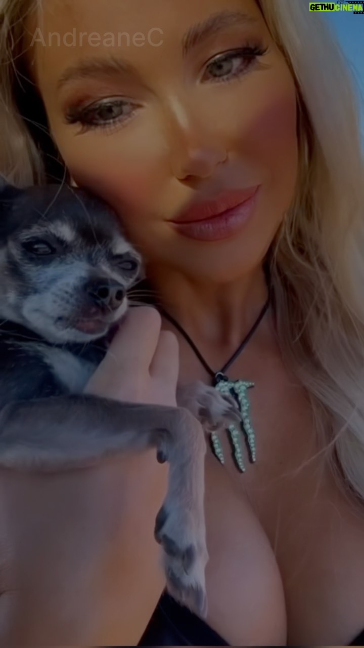 Andréane Chamberland Instagram - Today would have been your birthday, 11 years old. Unfortunately you left us 8 days before your 11th birthday. I didn’t know that it would be our last walk, our last sunset together …I will always remember you. Thanks for your unconditional love, for all the smile/ laughs you gave me and thanks for always being by my side! A lot of people are going to say, « It’s just a dog. » IT IS NOT It’s my baby, my family, my best friend. « Why do you always bring your dog with you? » Because we only have around 11 summers to spend with them! Never take it for granted! My dog once said, « I won’t be your best friend for your whole life, because sadly, I won’t make it that long. But YOU will be my best friend for my whole life! I am just a chapter in your life, but you are my whole book. » Molly, I just want to tell you that you may be just a chapter in my life, but you were my whole life too. I will miss EVERYTHING about you. No longer by my side, but forever in my heart. You were my favorite hello and my hardest goodbye! MOLLY I love you from the depths of my heart. 💔😭 There are no words to describe the pain right now. #RIP #restinpeace #dog #doglover #doglovers