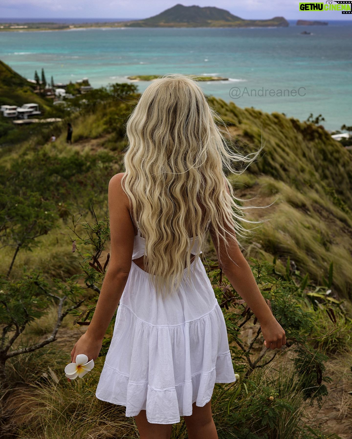 Andréane Chamberland Instagram - One day reality will be better than my dreams Which photo do You like the most? 1,2,3,4,5,6,7,8 ? #hawai #hawaii #hawaiilife #hawaii🌺 #hawaii🌴 #hawaiilove #whitedress #blondehair