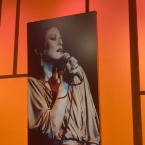 Andréia Horta Instagram - Sexta feira agora às 16hs estaremos no programa Sem Censura em homenagem  a Elis Regina. Só gente querida @lailagarin @nelsonmotta @cissaguimaraes @afabianepereira @claudiaelizeu @carvalho5028 . Que maravilha encontrar essa turma pra falar de Elis!!! 💚💐