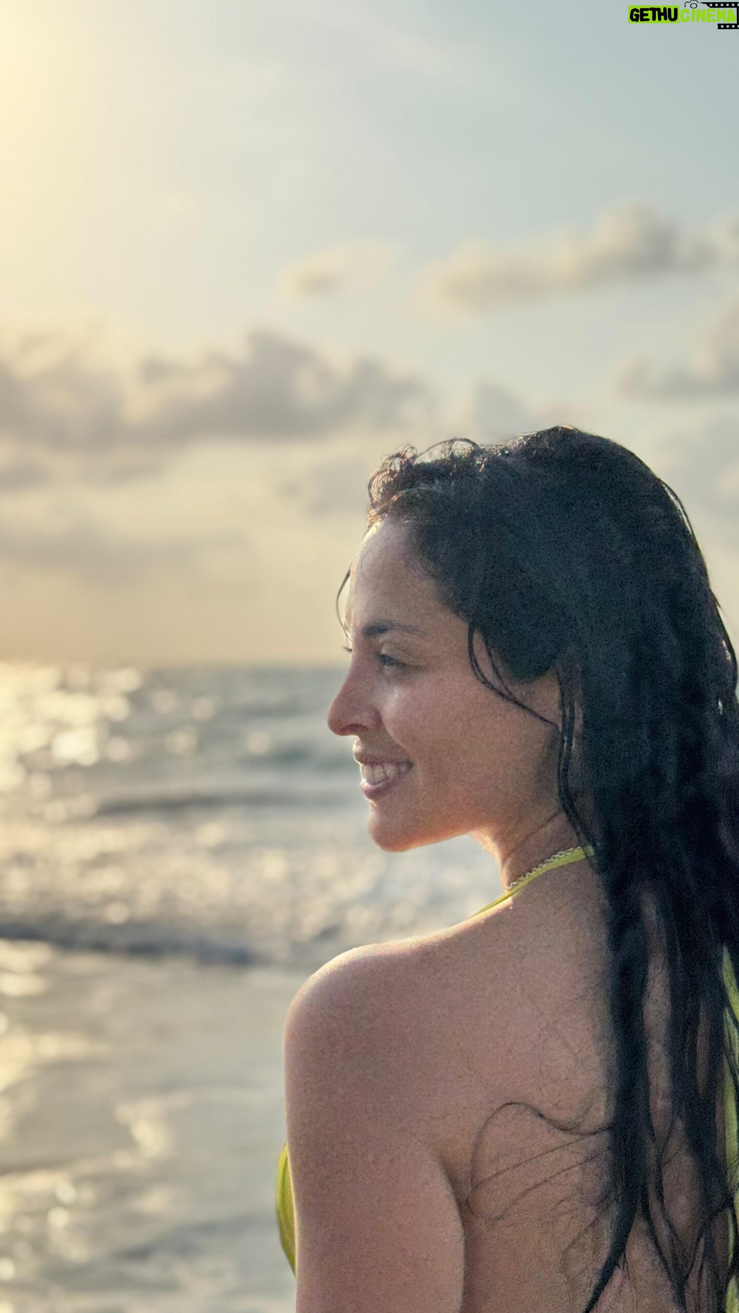 Andrea Luna - 6.3K Likes - Te veo brillar y llenarme de energía. Te necesito más que nunca. 🏝️🇨🇴✨✨⭐️👌
Video / ph @emetcordova