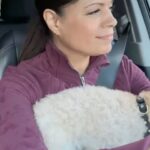 Andrea Navedo Instagram - Ride home with me and Theo.❤️ Acting is a FULL time job, it can be tough and at times not the smoothest journey but I’m pushing through gracefully! Wish me luck! 💪🏽🎬 #actorslife #working #thejourney #hardwork #driving #inhalaexhala #sleepgood #yougotthis