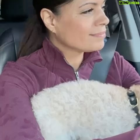 Andrea Navedo Instagram - Ride home with me and Theo.❤️ Acting is a FULL time job, it can be tough and at times not the smoothest journey but I’m pushing through gracefully! Wish me luck! 💪🏽🎬 #actorslife #working #thejourney #hardwork #driving #inhalaexhala #sleepgood #yougotthis